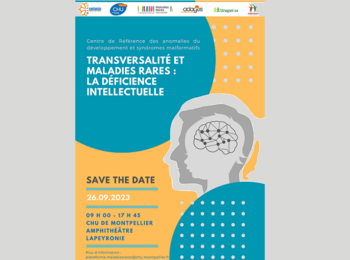 Journée Déficience Intellectuelle : « Transversalité et Maladies Rares »