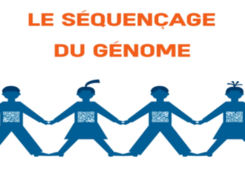 L'INSERM propose une nouvelle vidéo pour expliquer le séquençage du génome
