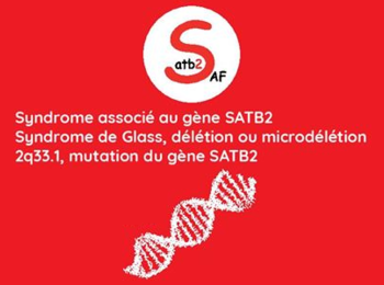 Une fiche synthèse pour comprendre le syndrome associé aux anomalies du gène SATB2